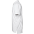 Weston solidny Polo