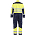 6379 Multinorm Overall