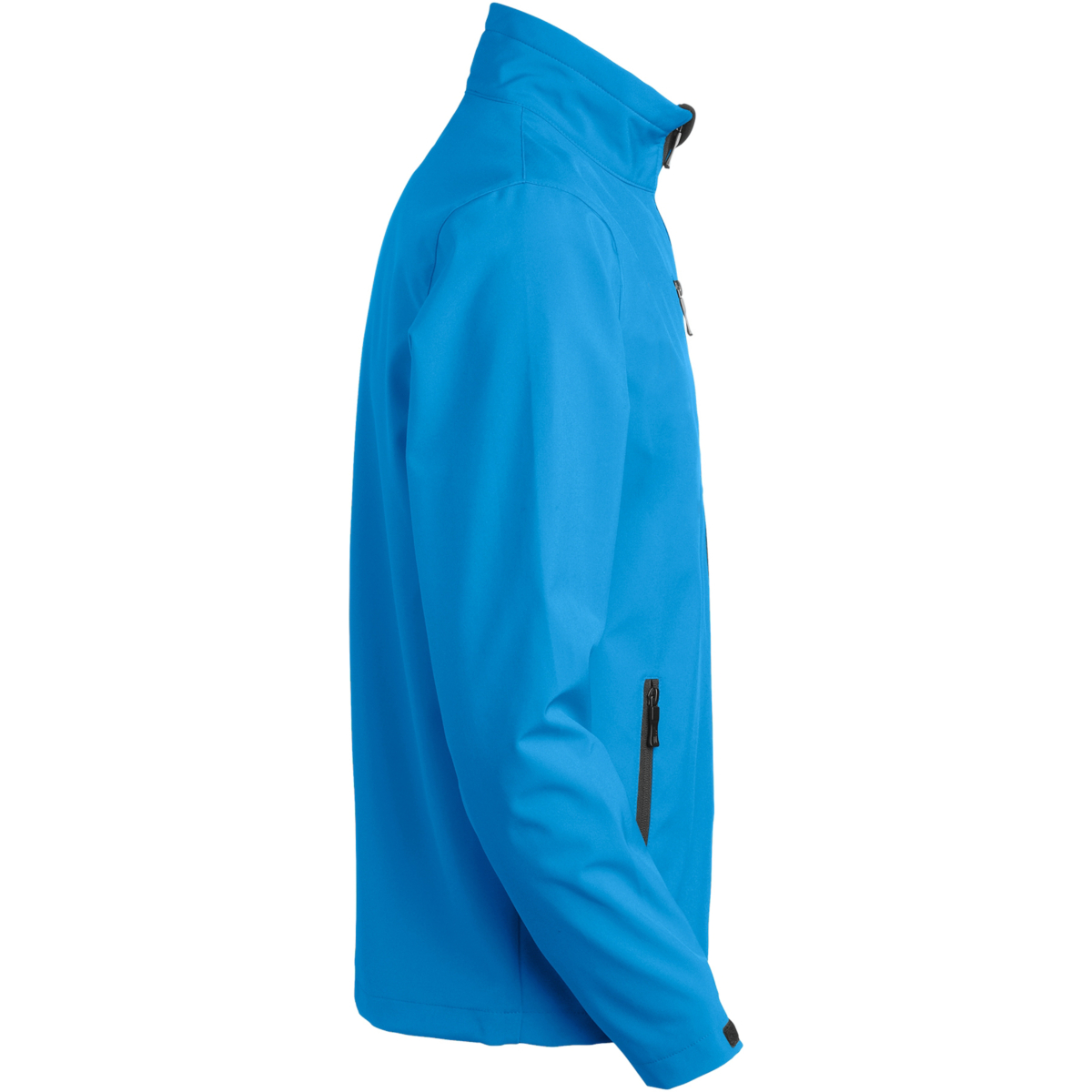 Softshell atlantycki