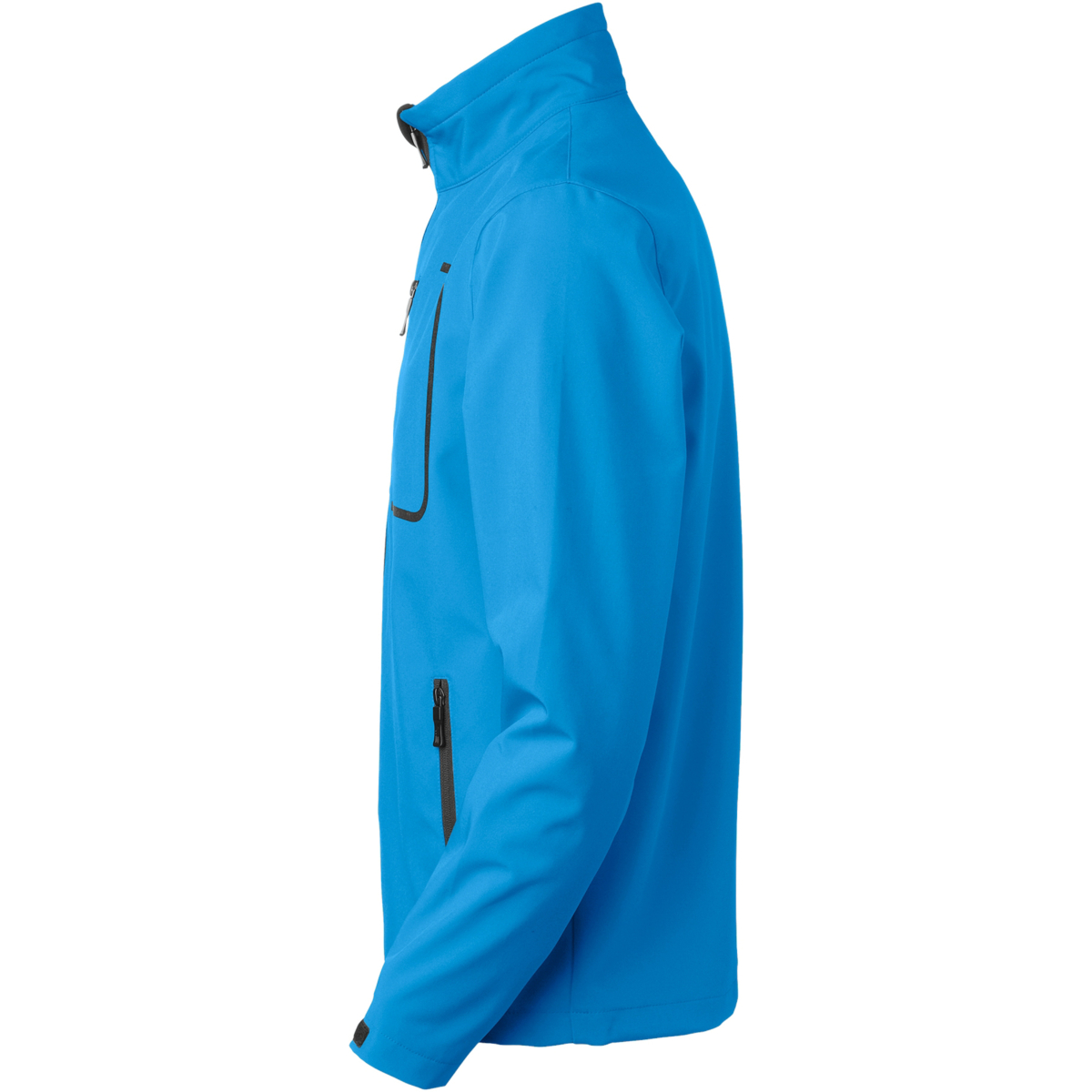 Softshell atlantycki