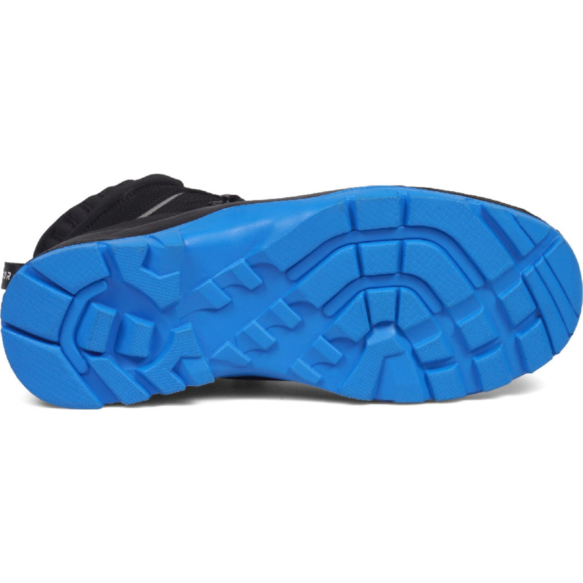 Meadow Blue