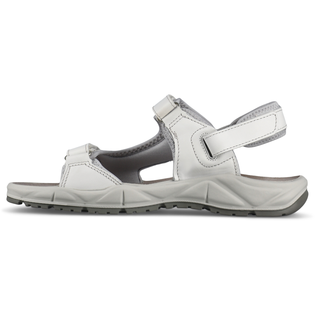 22265 Ruch Sika