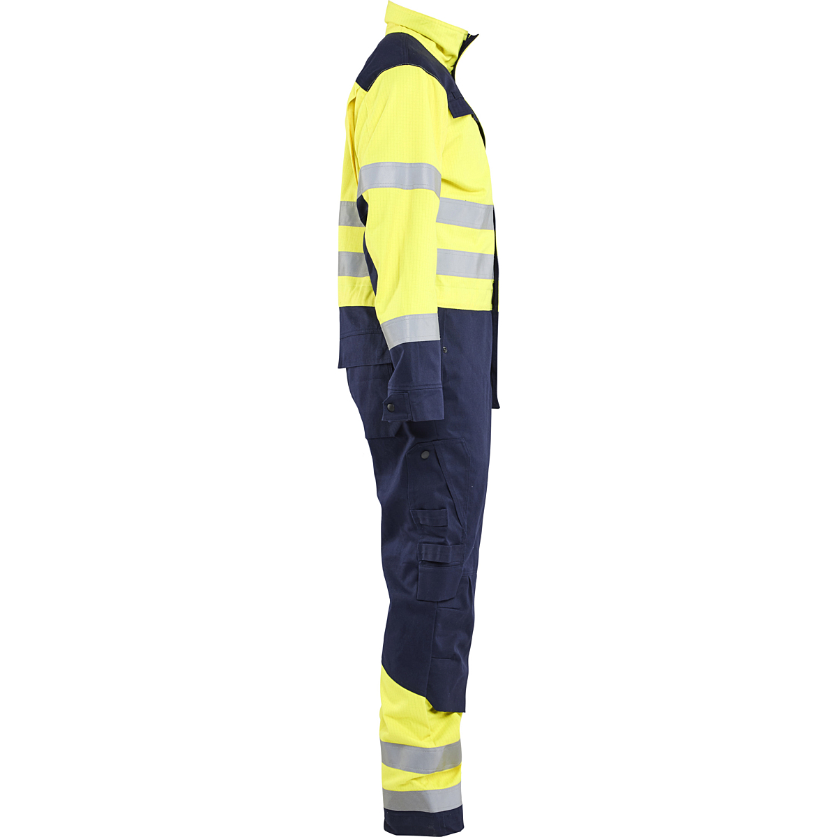 6379 Multinorm Overall