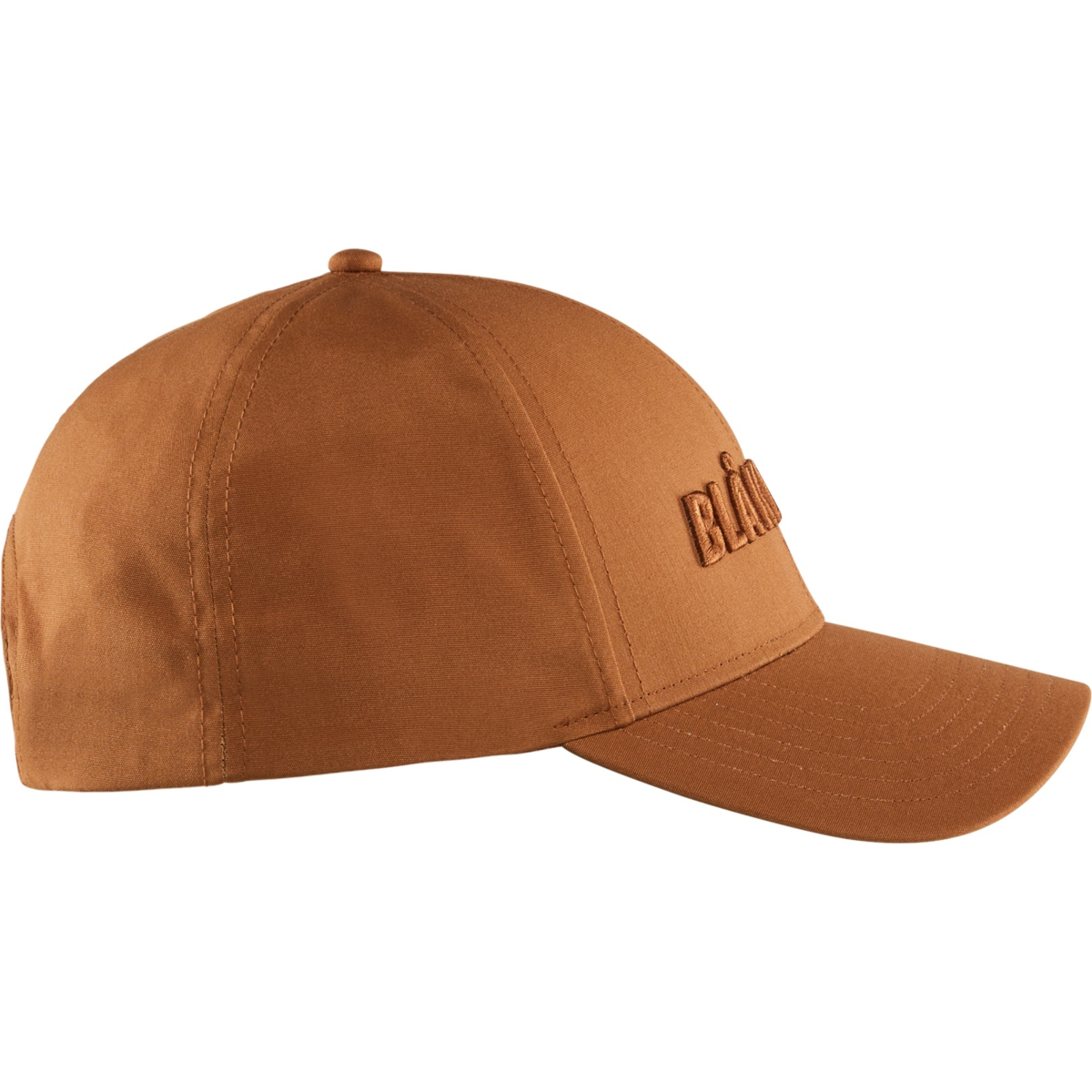 9231 Cap 3D